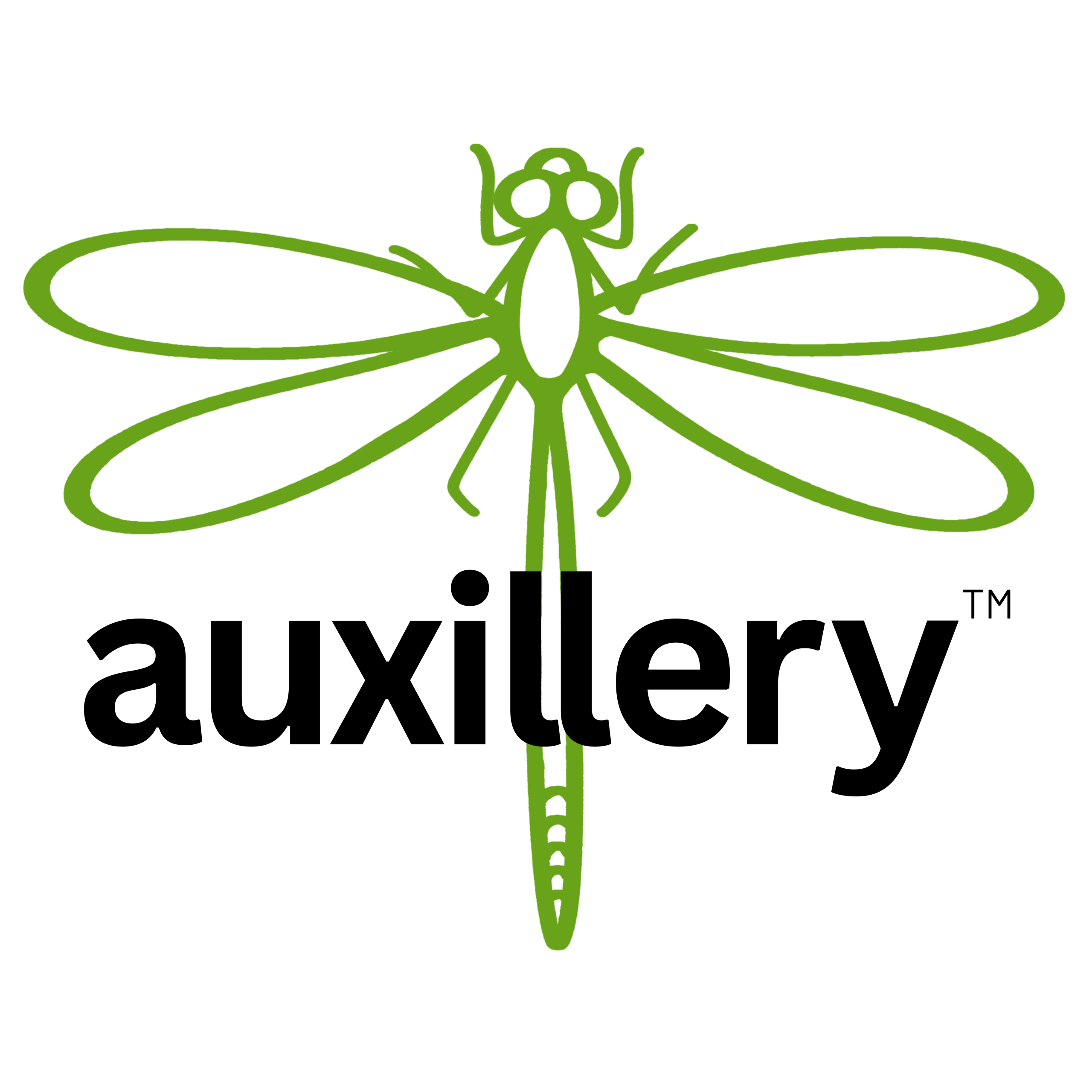 auxillery